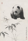 熊猫020